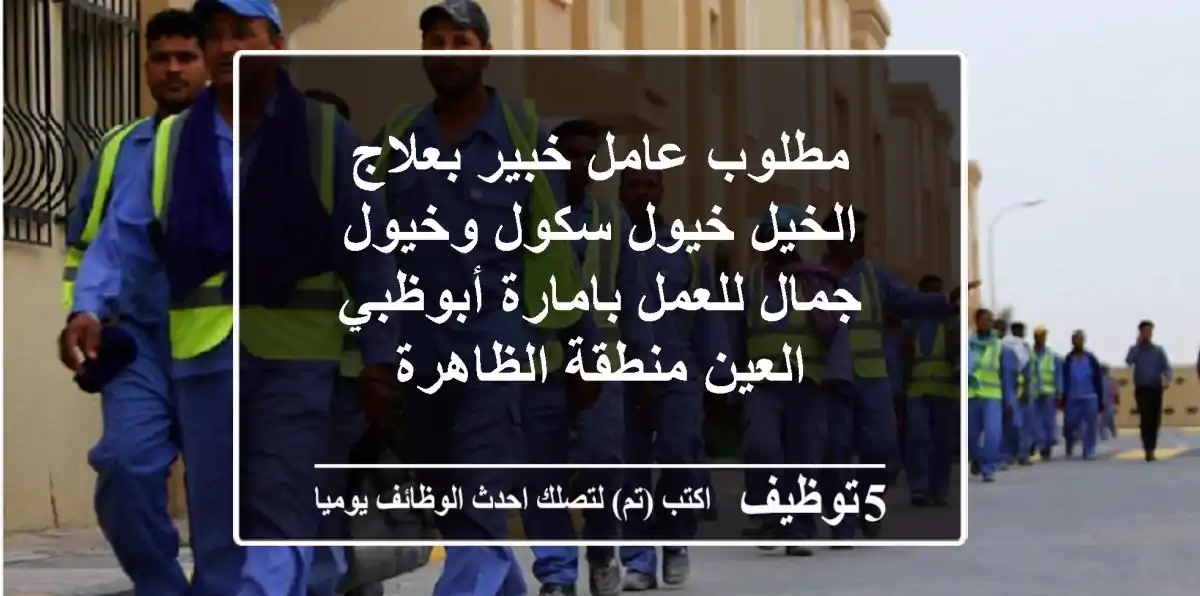 مطلوب عامل خبير بعلاج الخيل خيول سكول وخيول جمال للعمل بامارة أبوظبي العين منطقة الظاهرة