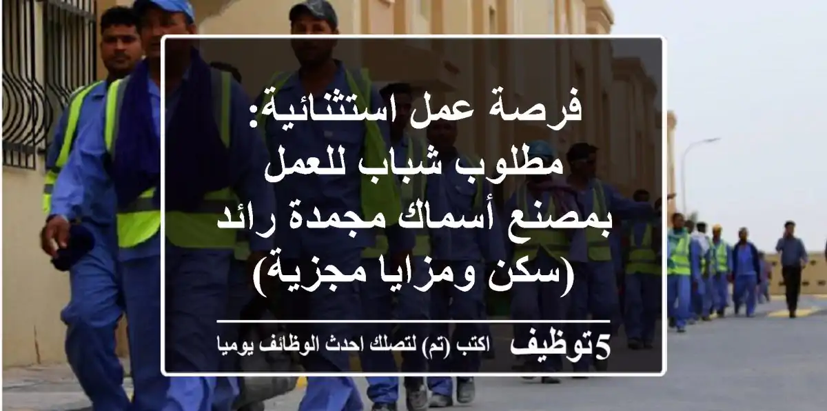 فرصة عمل استثنائية: مطلوب شباب للعمل بمصنع أسماك مجمدة رائد (سكن ومزايا مجزية)