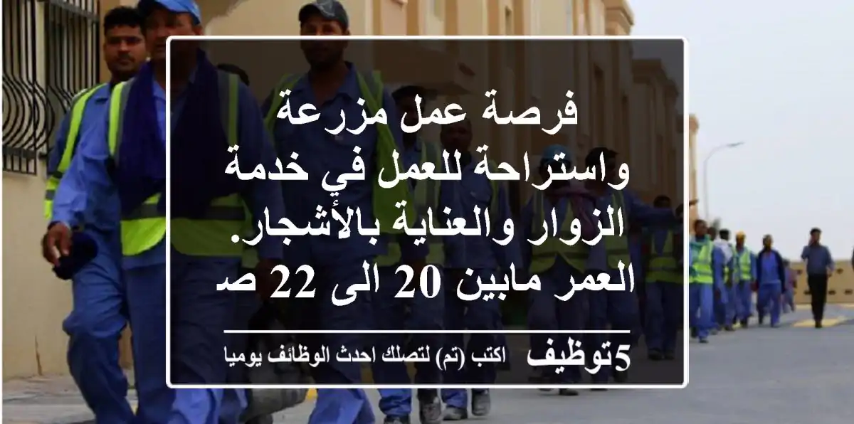 فرصة عمل مزرعة واستراحة للعمل في خدمة الزوار والعناية بالأشجار. العمر مابين 20 الى 22 صورة ...